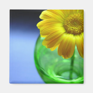 Imã Flor em Vase