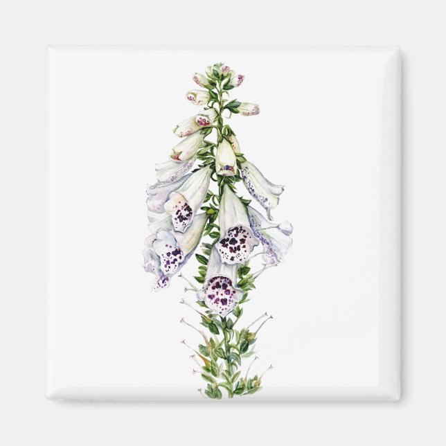 Imã Flor Foxglove (Frente)
