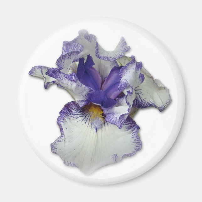 Imã Flor Íris Branca e Azul (Frente)