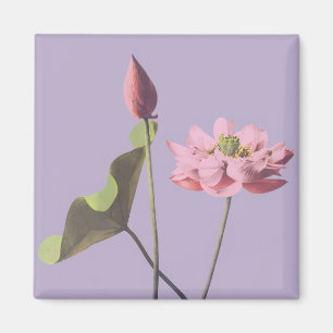 Imã Flor Lotus de Ogawa Kazumasa