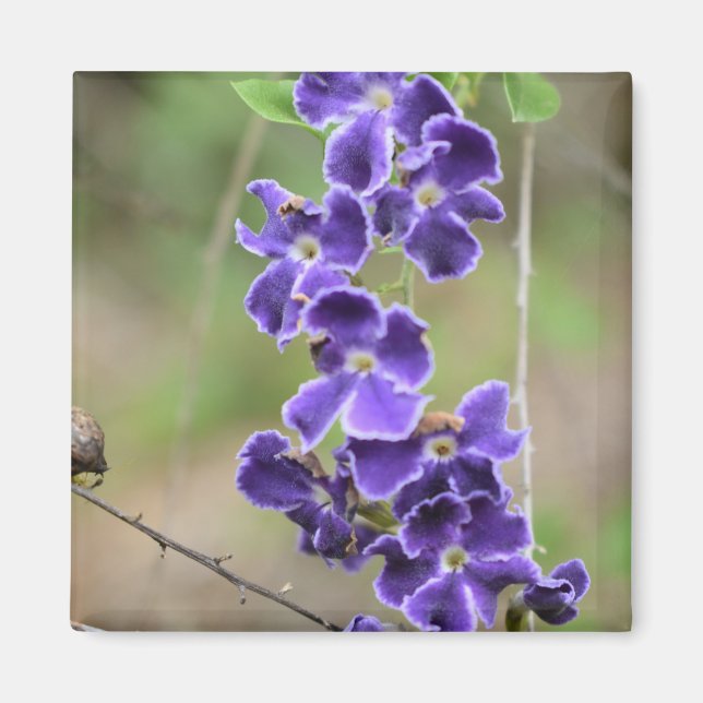 Imã Flor Magnet - Garota roxa (Frente)