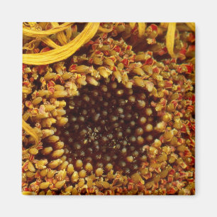 Imã Flor - Margarida - Em outros mundos