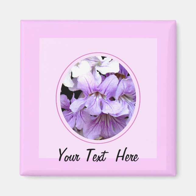 Imã Flor nº 13 (Frente)