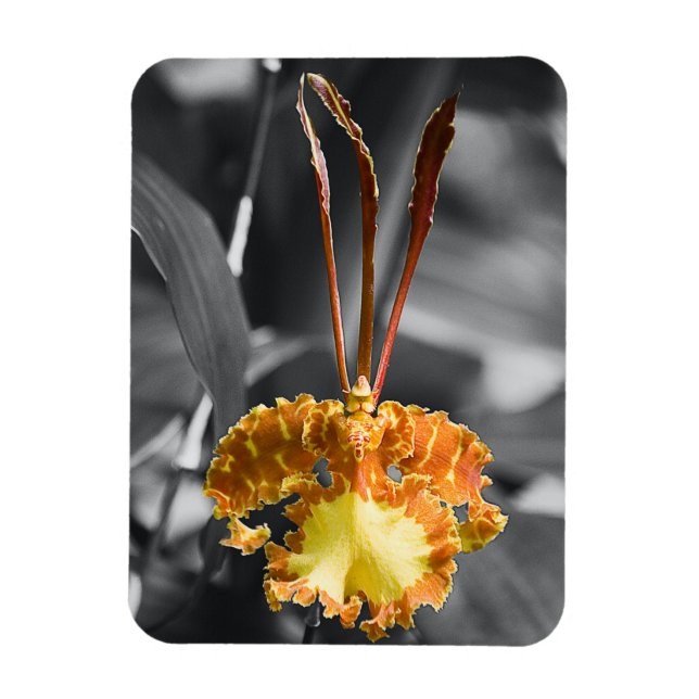 Ímã Flor Orquídea Amarela (Vertical)