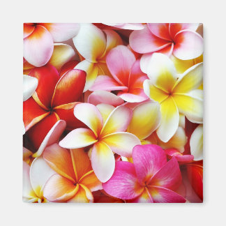 Imã Flor Plumeria Frangipani Hawaii Personalizado