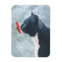 Flor Preta de Cheiro de Gato
