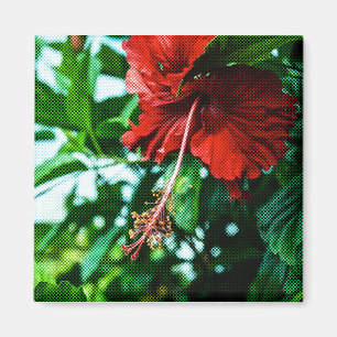 Imã Flor Red Hibiscus