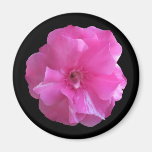Imã Flor Rosa