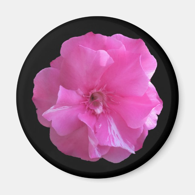 Imã Flor Rosa (Frente)