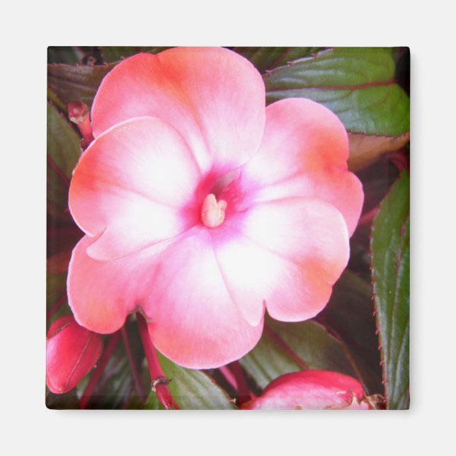Imã Flor Rosa (Frente)