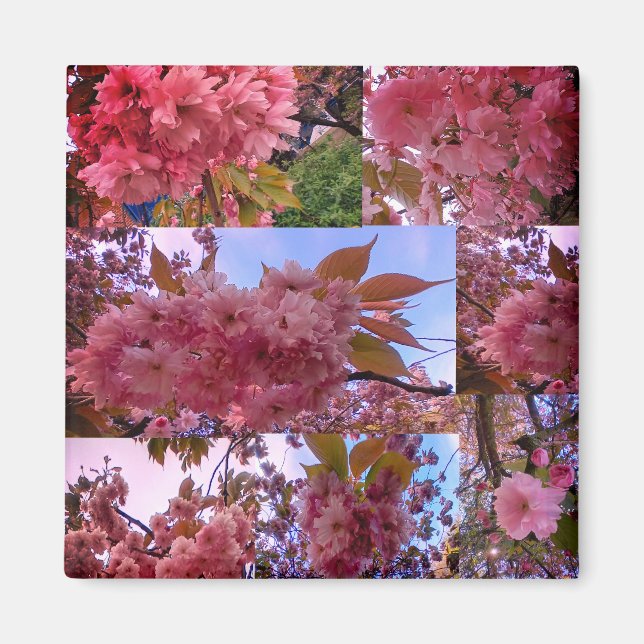 Imã Flor rosa (Frente)