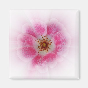Imã flor rosa brilhante