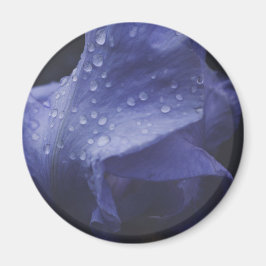 Imã Flor Rosa púrpura