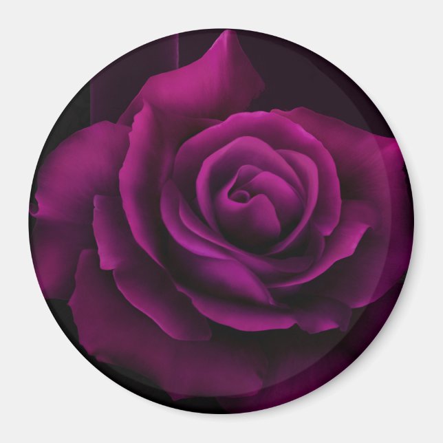 Imã Flor Rosa vermelha Roxo-Gótica (Frente)