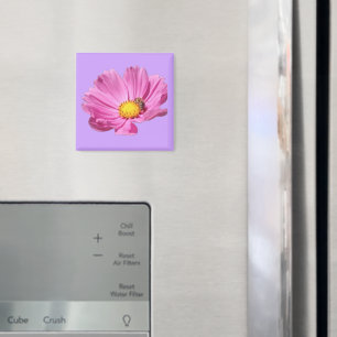 Imã Flor Rosa Vibrante Com Uma Abelha Em Um Dia De Ver