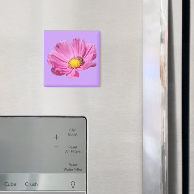 Imã Flor Rosa Vibrante Com Uma Abelha Em Um Dia De Ver (In Situ (Fridge))