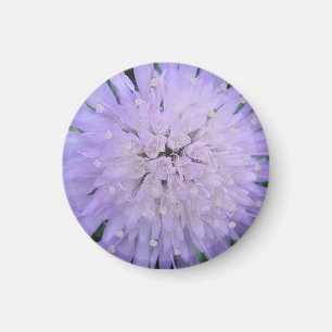 Imã Flor roxa