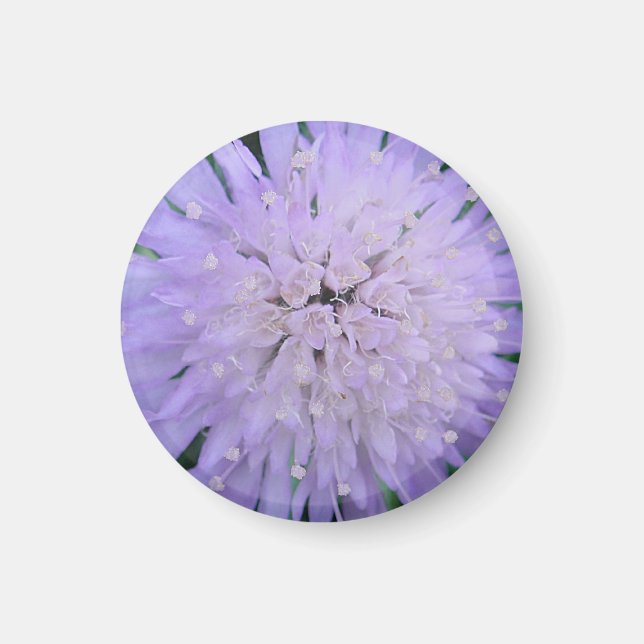 Imã Flor roxa (Frente)