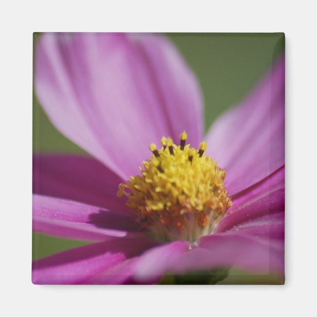 Imã Flor roxa (Frente)