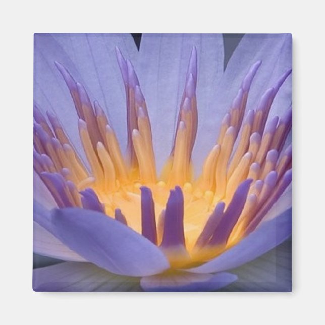 Imã Flor roxa e Dourada - Magneta (Frente)