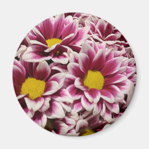 Imã Flor Roxo