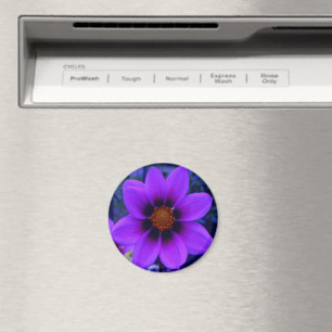 Imã Flor Roxo em Esco