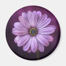 Imã Flor Roxo no Bloom