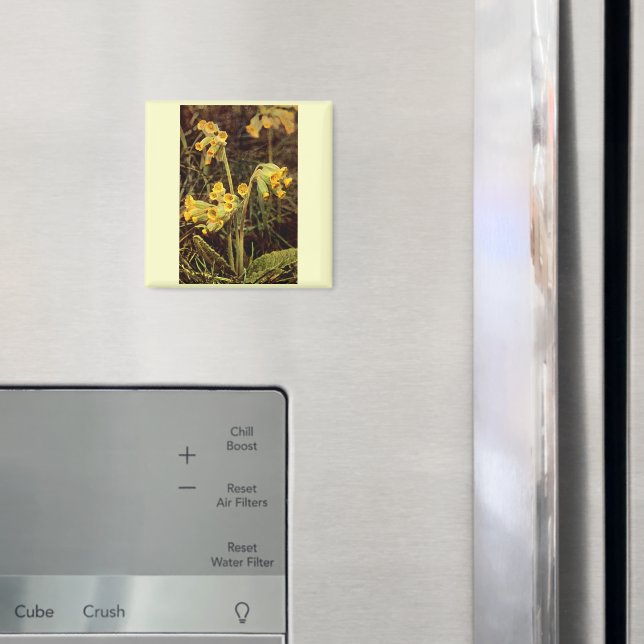 Imã Flor selvagem: Cowslip (In Situ (Fridge))