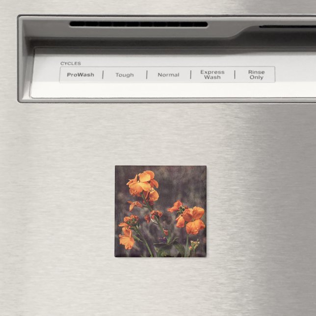 Imã Flor selvagem: Wallflower (In Situ (Dishwasher))