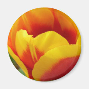 Imã Flor uma