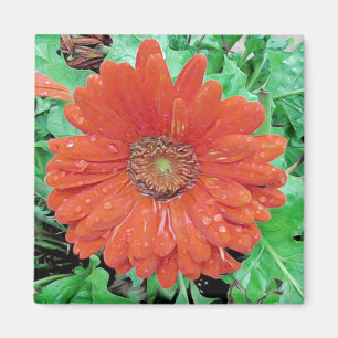 Imã Flor Vermelho bonito com Gotas de Chuva