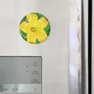 Imã Flor Zucchini