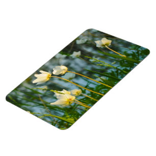 ÍMÃ FLORAL ADORÁVEL