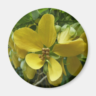 Imã Floral Amarelo Tropical de Chá ouro
