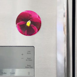 Imã Floral bonito Purple Pansy