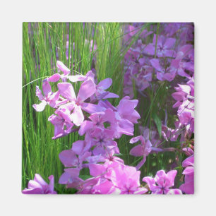 Imã Floral de Verão de Flox e Grama Rosa
