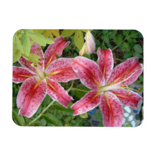 Ímã Floral do Jardim dos Lírios