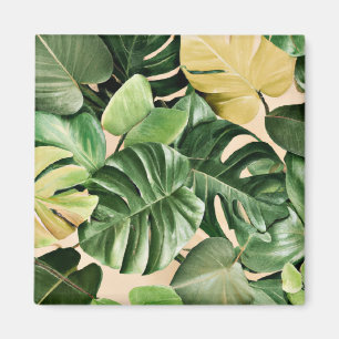 Imã Floral/Havaí/Folha tropical