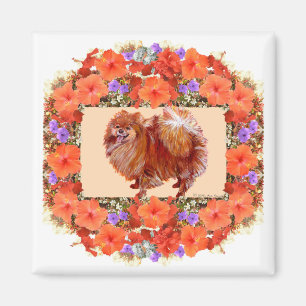 Imã Floral Pomerânia