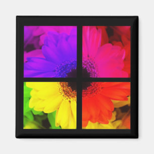 Imã Floral Potpourri