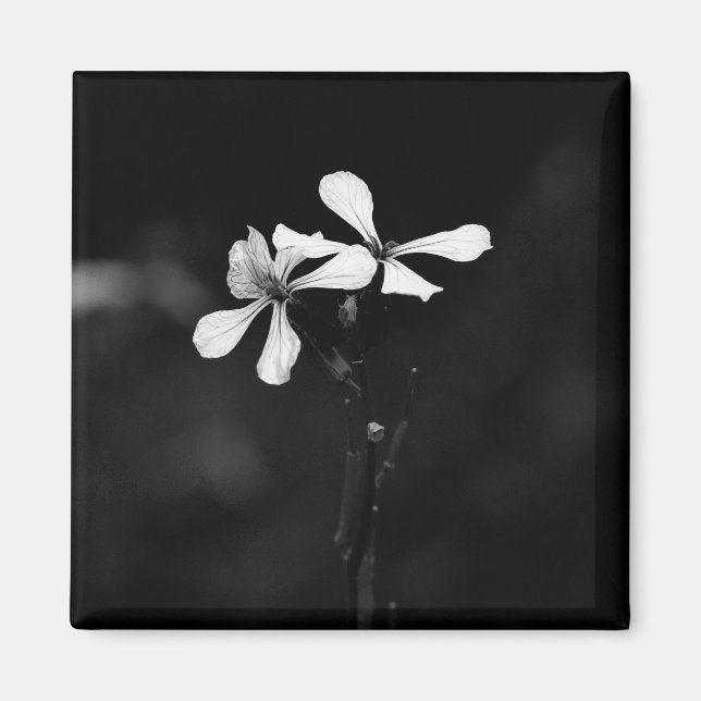 Imã floral preto e branco mínimo (Frente)