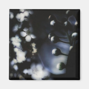 Imã Floral Profundo