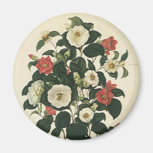Imã Floral Vintage, Flores de Rosas de Jardim Antigas