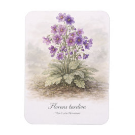 Ímã Florens tardiva A Flor Tardia Botânica