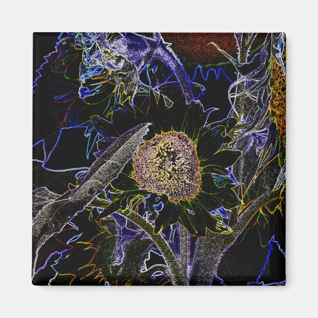 IMÃ FLORES (Frente)