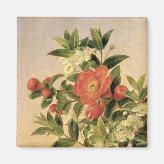 Imã Flores, 1835 (Frente)
