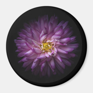 Imã Flores 20