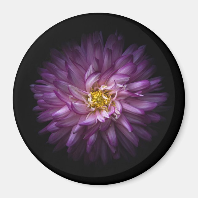 Imã Flores 20 (Frente)