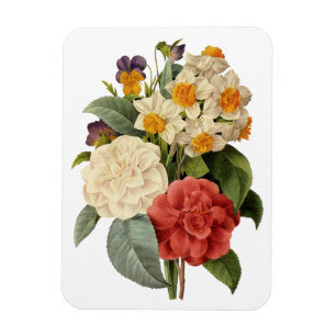 Ímã Flores Antigas, Camélias e Narcisos, Redoute