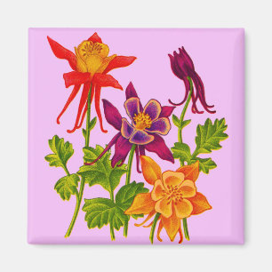 Imã flores aquilégias